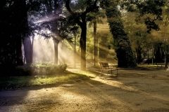 01_Un-rayo-de-sol