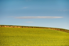 07_05_21_Paisaje2