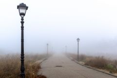 11_18_2020_Niebla-farolas