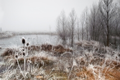 Frio y niebla