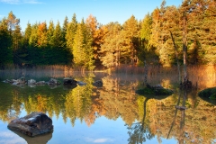 Amanecer en Urbasa