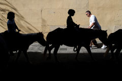 09_Paseo-en-Pony
