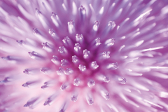 03_Explosion-de-color